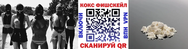дарнет шоп  Кудрово  COCAIN FishScale 