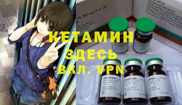 твердый Новодвинск