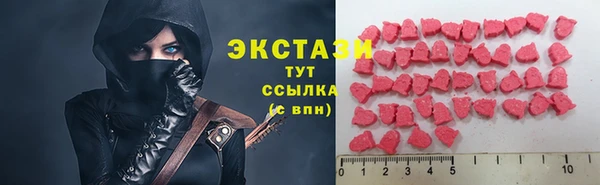 твердый Новодвинск