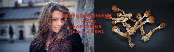 MESCALINE Нефтекумск