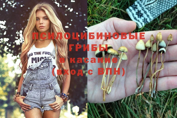 MESCALINE Арсеньев