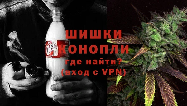 твердый Новодвинск