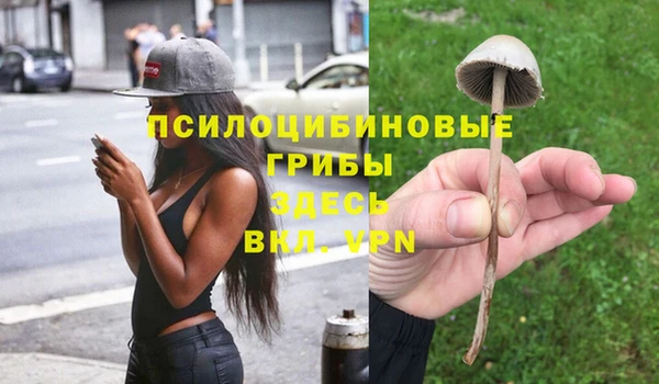 не бодяженный Новозыбков
