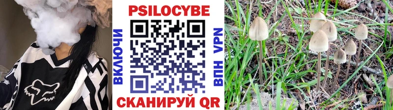 Псилоцибиновые грибы прущие грибы  как найти закладки  Кудрово 