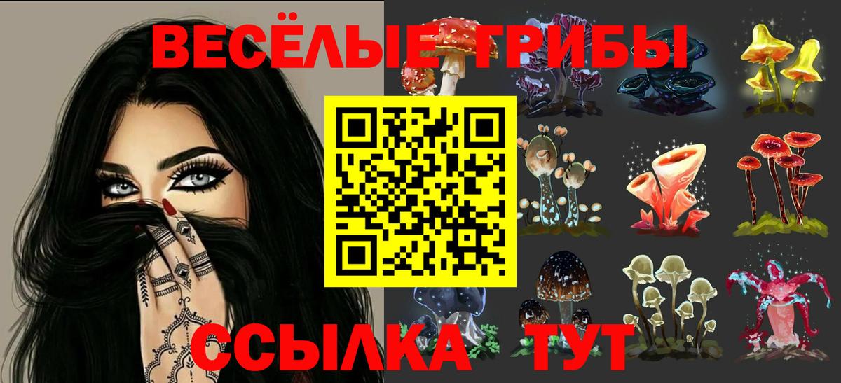 Кудрово  Псилоцибиновые грибы MAGIC MUSHROOMS  Вход с VPN  Галлюциногенные грибы Psilocybine cubensis 